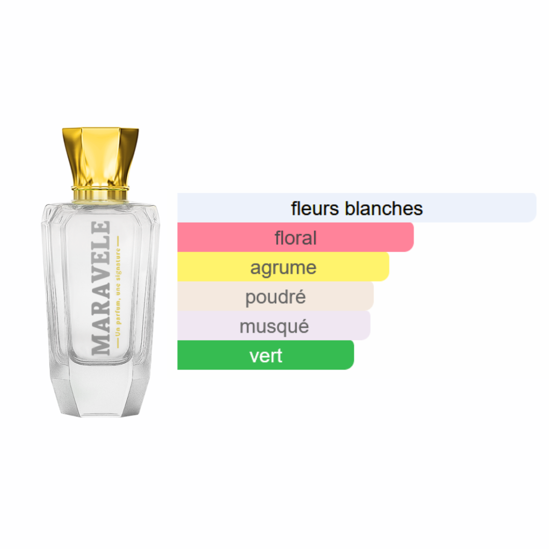 Charme Latino - Esprit Urbain - Image 2