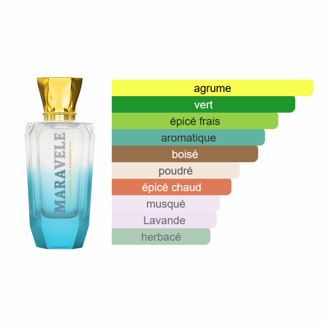 Charme Latino - Énergie Urbaine - Image 2