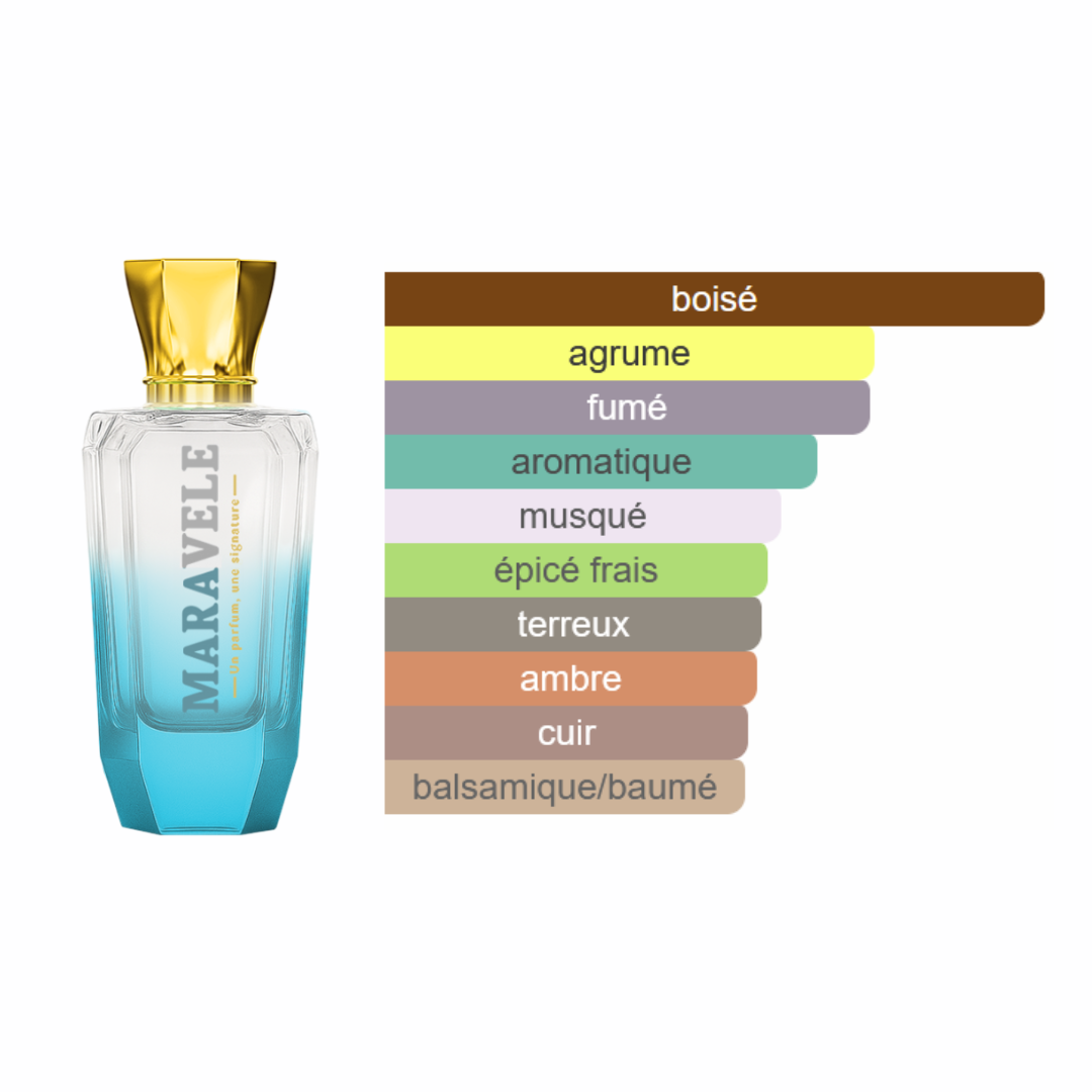 Signature Noblesse - Gentleman Chic - Image 2