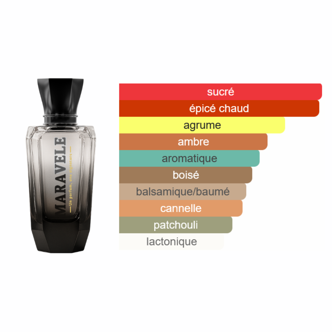 Magnétisme Absolu - Nocturne XS - Image 2