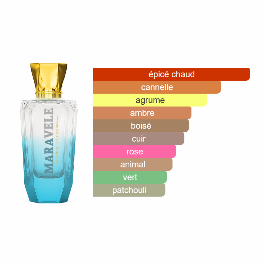 Magnétisme Absolu - Million Absolu - Image 2