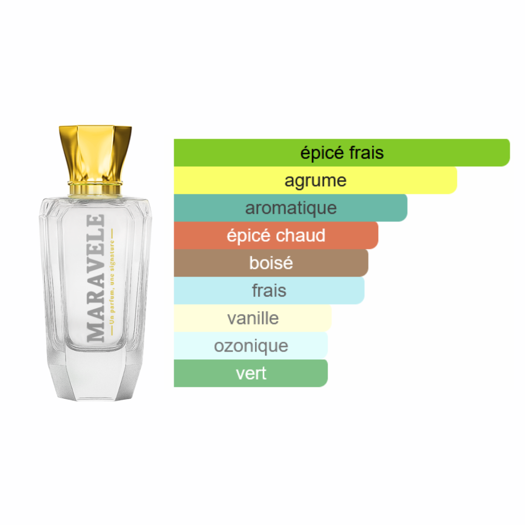 Rébellion Élégante - L'Homme Moderne - Image 2