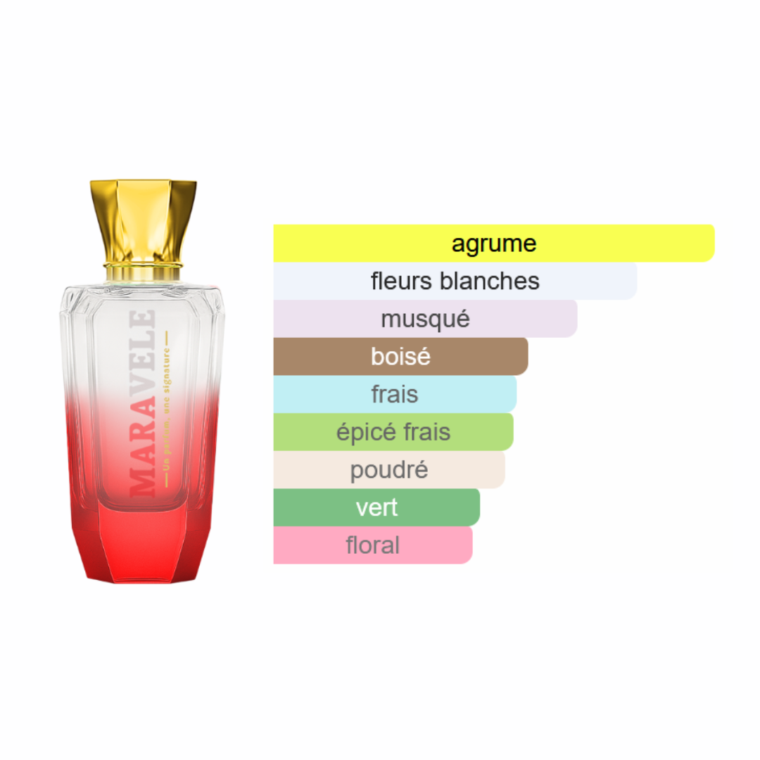 Al Arab - Sayyidat Al Arab - Image 2